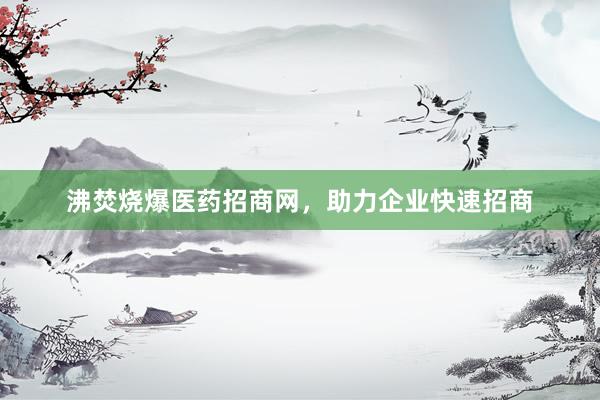 沸焚烧爆医药招商网，助力企业快速招商
