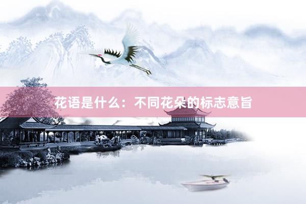 花语是什么:不同花朵的标志意旨
