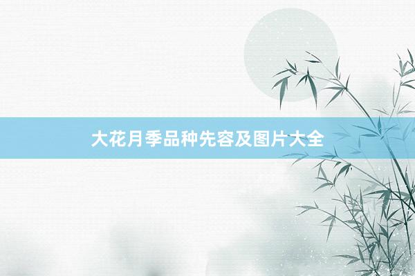 大花月季品种先容及图片大全