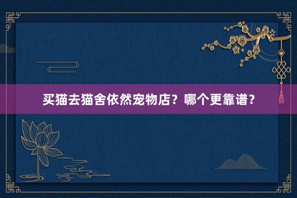 买猫去猫舍依然宠物店？哪个更靠谱？