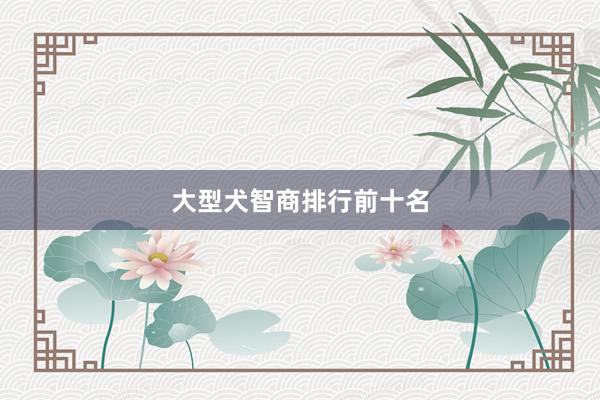 大型犬智商排行前十名